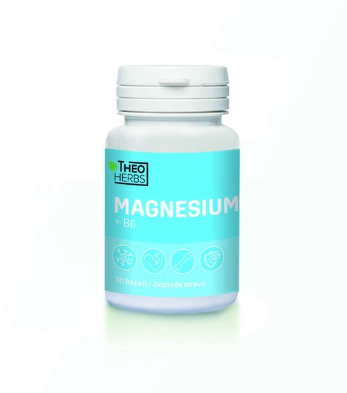 THEO HERBS Magnesium + B6